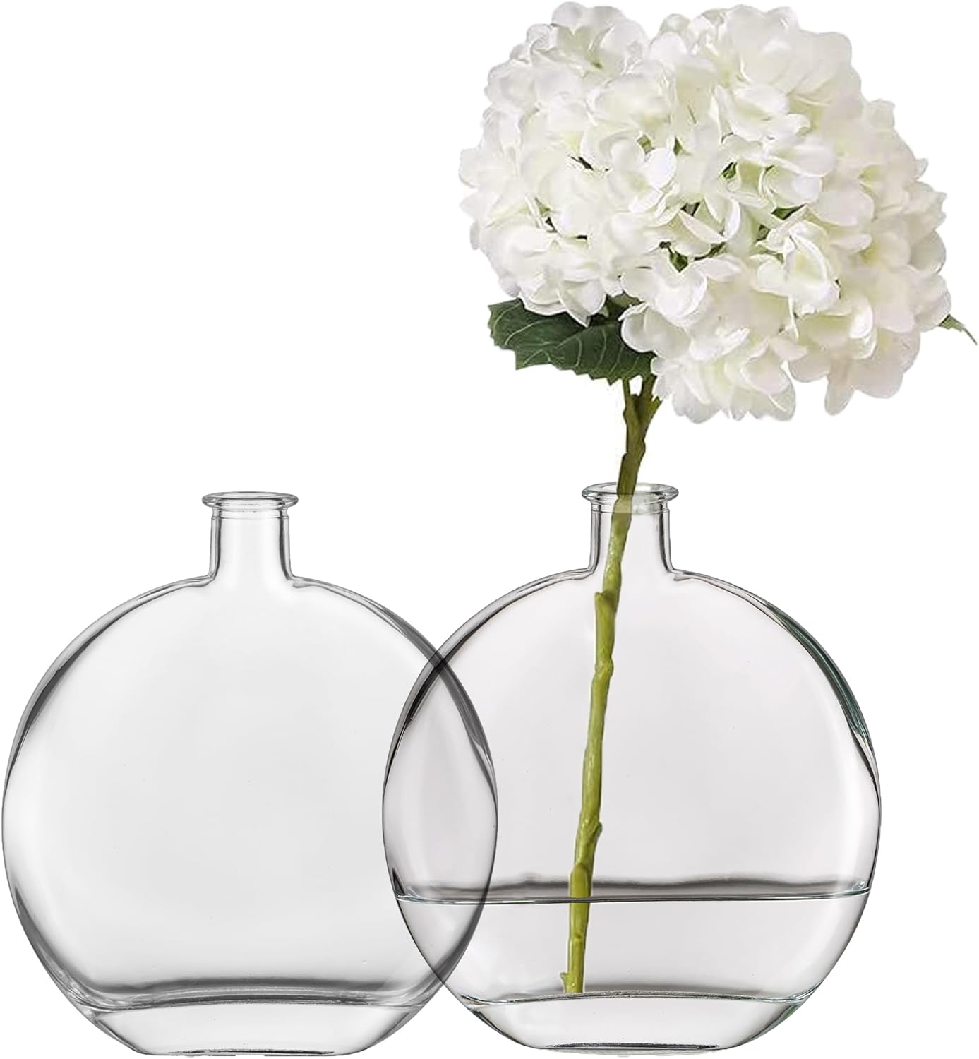 basic glass vase